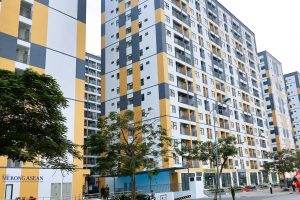 Hải Phòng công bố thành lập tổ hướng dẫn người dân mua nhà ở xã hội