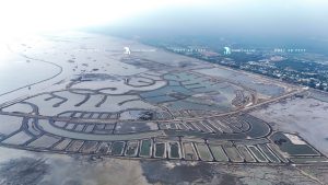 Tiến độ dự án Vinhomes Green Paradise Cần Giờ cập nhật tháng 1/2026