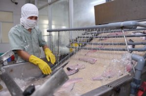 Biên lợi nhuận thu hẹp PAN giữ tăng trưởng lợi nhuận nhờ tiết giảm chi phí