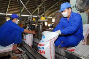 Doanh nghiệp phân bón nào được đặt ngôi sao hy vọng năm 2026