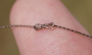 Tin công nghệ tuần qua Trung Quốc ra mắt chip dạng sợi TikTok lập liên doanh tại Mỹ