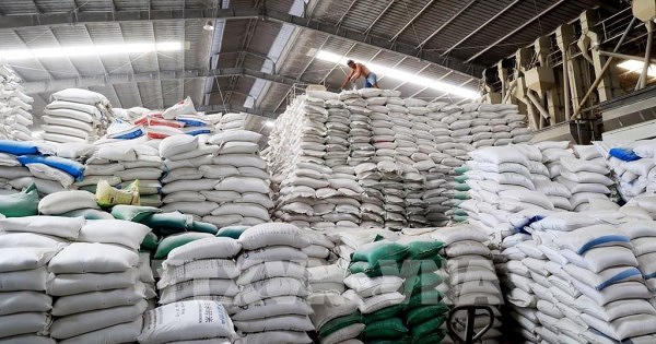 Việt Nam dự kiến xuất khẩu 7,73 triệu tấn gạo năm 2026