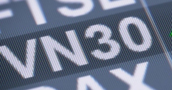 VPL vào VN30 thay thế cổ phiếu doanh nghiệp Nhà nước vừa tăng nóng, HAG và EVF bị loại khỏi rổ VN50 GROWTH