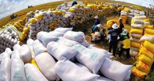 Việt Nam đạt kỷ lục dự trữ nhà nước 500.000 tấn lương thực
