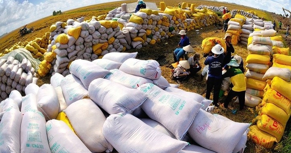 Việt Nam đạt kỷ lục dự trữ nhà nước 500.000 tấn lương thực