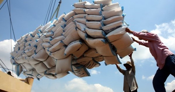 Khơi thông vốn, mở rộng thị trường để giữ đà xuất khẩu gạo