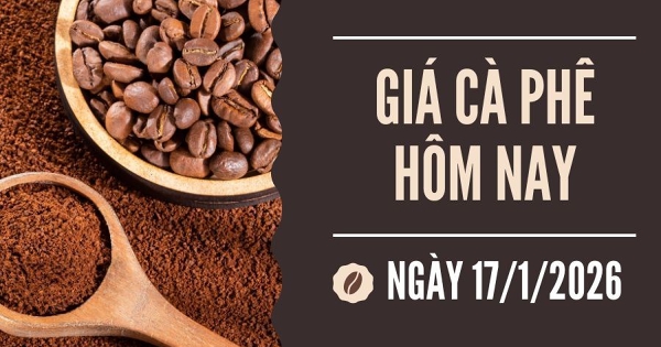 Giá cà phê hôm nay 17/1: Thị trường ít biến động, giằng co trong biên độ hẹp
