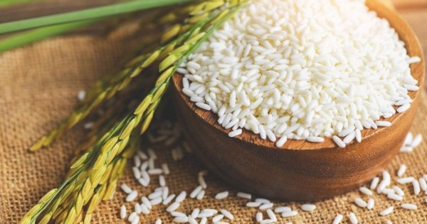 Giá lúa gạo hôm nay 27/1: Gạo giữ ổn định, cám tiếp đã tăng