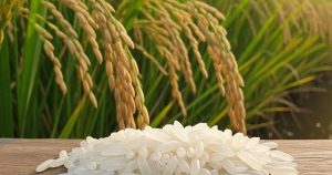 Giá lúa gạo hôm nay 22/1: Thái Lan dự kiến xuất khẩu 7 triệu tấn gạo năm 2026