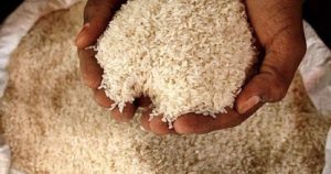 Indonesia sẽ không cấp hạn ngạch nhập khẩu gạo 2026, định hướng xuất khẩu sang Đông Nam Á