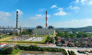 Nhiệt điện Phả Lại Lợi nhuận quý 4 bốc hơi 30 do hụt thu cổ tức