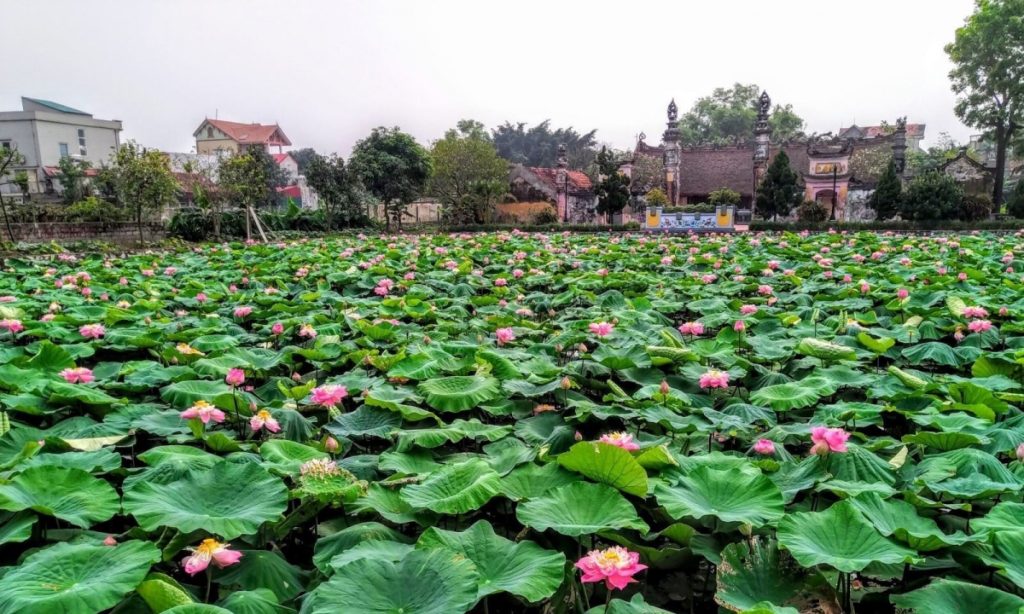 Hà Nội giao 4 2 ha đất gần khu đô thị Olympic cho Ngọc Tín Holdings