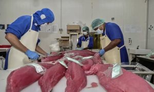 Indonesia đẩy mạnh xuất khẩu hải sản sang thị trường Hàn Quốc và Đài Loan