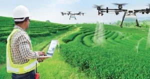 Nông nghiệp dẫn đầu mức lương trần CEO