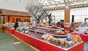 Cẩm nang du xuân xuyên Việt chỉ trong 1 ngày tại siêu quần thể Hội chợ Mùa Xuân 2026