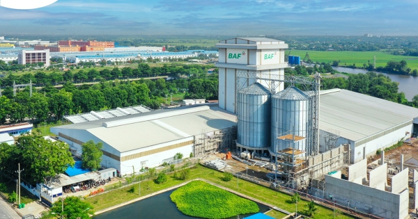 FMO cân nhắc gói tài trợ hợp vốn 50 triệu USD cho BAF