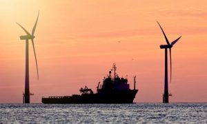 Ngành cảng biển năm 2025 Doanh nghiệp nào tăng trưởng mạnh nhất