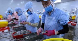 Gỡ vướng thủ tục xuất khẩu thủy sản sang Hoa Kỳ