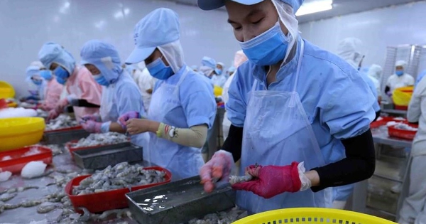 Gỡ vướng thủ tục xuất khẩu thủy sản sang Hoa Kỳ