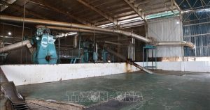 Doanh nghiệp chế biến thủy sản tại TP HCM 'đói' nguyên liệu