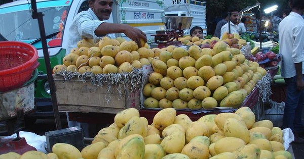 Trái cây Việt Nam xuất hiện nhiều trong giỏ quà Tết tại Trung Quốc