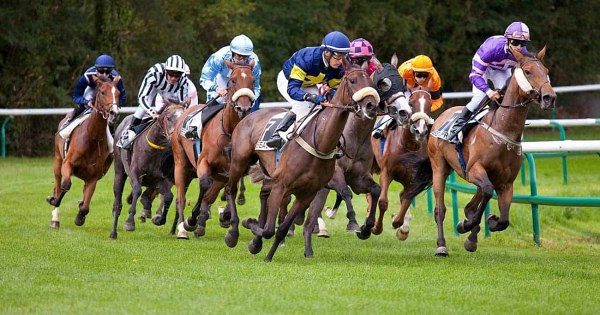 Một nền kinh tế hàng trăm tỷ USD chạy cùng vó ngựa