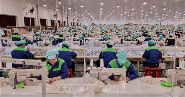 Doanh nghiệp dệt may chủ động số hóa