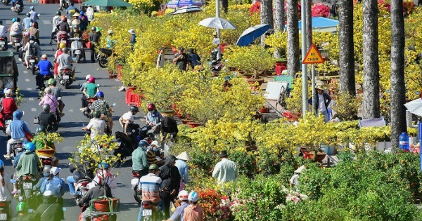 Người dân tấp nập mua hoa giảm giá ngày 29 Tết