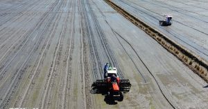 Doanh nghiệp nhập cuộc, thúc đẩy chuỗi lúa gạo giảm phát thải phía Bắc