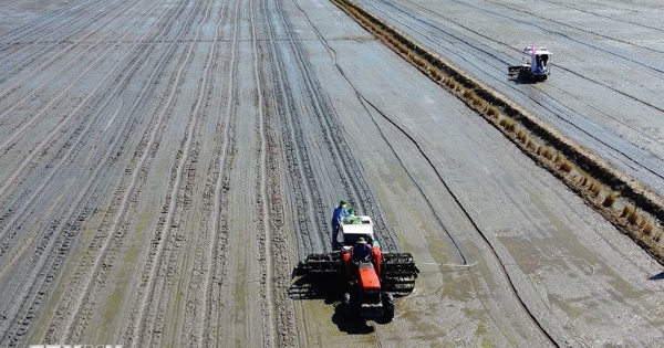 Doanh nghiệp nhập cuộc, thúc đẩy chuỗi lúa gạo giảm phát thải phía Bắc