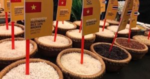 Giá lúa gạo hôm nay 23/2: Tăng giảm trái chiều sau kỳ nghỉ Tết Nguyên đán