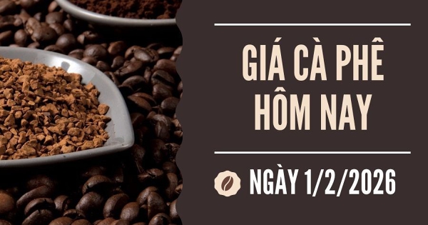 Giá cà phê hôm nay 1/2: Arabica lao dốc, kéo giá robusta giảm nhẹ trong tuần qua