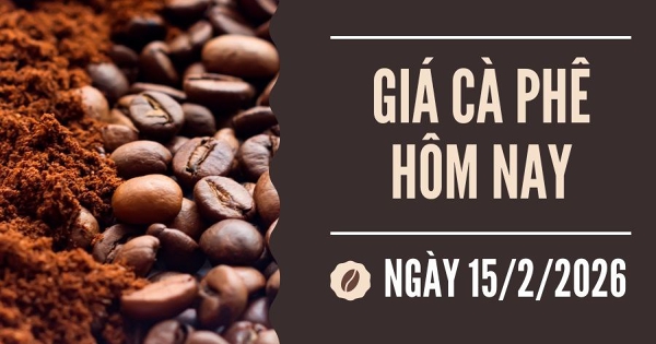 Giá cà phê hôm nay 15/2: Tăng mạnh trong tuần qua, giá cà phê tiến gần đến mốc 100.000 đồng/kg