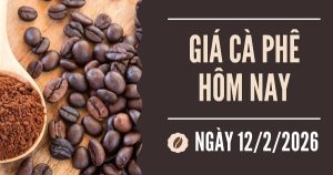 Giá cà phê hôm nay 16/2: Giá sẽ tiếp tục tăng trong tuần này?