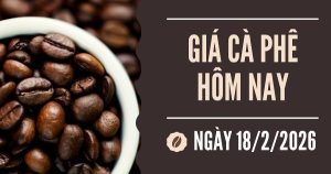 Giá cà phê hôm nay 18/2: Lao dốc mạnh, chạm đáy trong hơn nửa năm qua