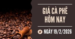 Giá cà phê hôm nay 19/2: Bật tăng trở lại khi các nhà đầu tư đẩy mạnh mua vào