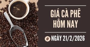 Giá cà phê hôm nay 21/2: Robusta tiếp tục suy giảm, thị trường kỳ vọng sẽ có một đợt phục hồi trong ngắn hạn