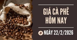 Giá cà phê hôm nay 22/2: Thị trường lao dốc, robusta mất hơn 200 USD/tấn trong một tuần