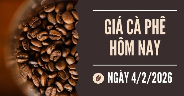 Giá cà phê hôm nay 4/2: Hai sàn tiếp tục lao dốc trước làn sóng bán tháo của giới đầu tư