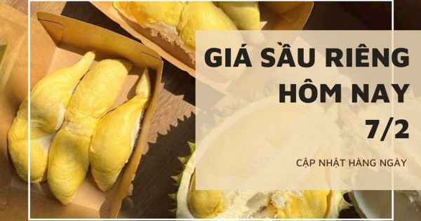 Giá sầu riêng hôm nay 7/2: Ổn định trên cả nước, xây dựng chuỗi vùng trồng sầu riêng phục vụ xuất khẩu