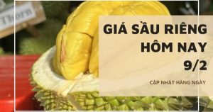 Giá sầu riêng hôm nay 9/2: Tiếp tục đi ngang, sầu riêng Việt chiếm hơn 50% thị phần tại Trung Quốc