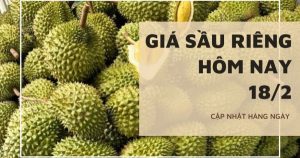 Giá sầu riêng hôm nay 18/2: Giao dịch ổn định, lô sầu riêng đầu tiên xuất khẩu qua cửa khẩu Lào Cai