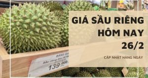 Giá sầu riêng hôm nay 26/2: Vẫn trầm lắng trong nước, nguy cơ dư cung sầu riêng, Thái Lan triển khai nhiều phương án điều tiết