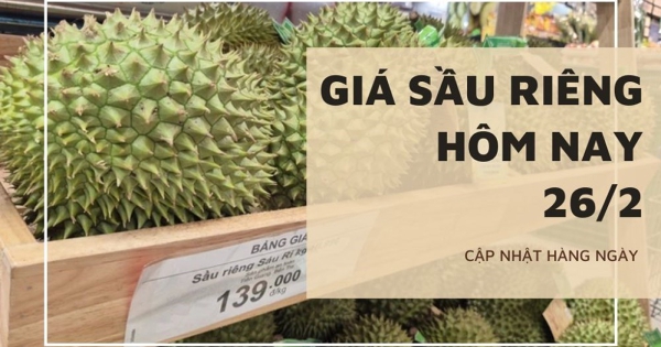 Giá sầu riêng hôm nay 26/2: Vẫn trầm lắng trong nước, nguy cơ dư cung sầu riêng, Thái Lan triển khai nhiều phương án điều tiết