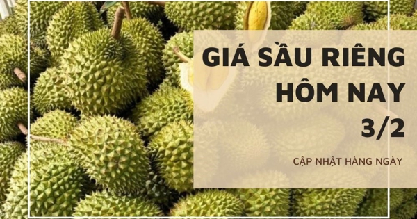 Giá sầu riêng hôm nay 3/2: Duy trì ổn định, Đài Loan áp dụng kiểm tra nghiêm ngặt sầu riêng Việt
