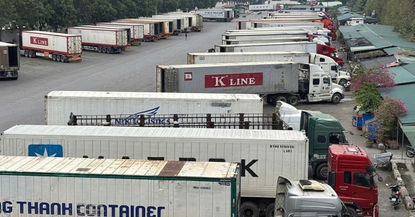 Tạm dừng áp dụng Nghị định số 46 về an toàn thực phẩm đến hết ngày 15/4