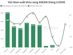 Mặt hàng nào Việt Nam xuất khẩu nhiều nhất sang ASEAN trong tháng 1 2026