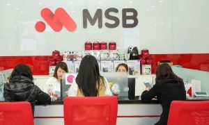 VMSC tiếp tục chào bán 2 45 triệu cổ phiếu MSB sau nhiều lần bất thành