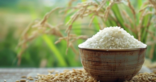 Giá lúa gạo hôm nay 13/2: Gạo Ấn Độ neo cao, Việt Nam giảm nhẹ trước kỳ nghỉ Tết Nguyên đán