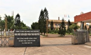 Công ty thành viên của Vinacomin sắp chia cổ tức tiền mặt tỷ lệ 15